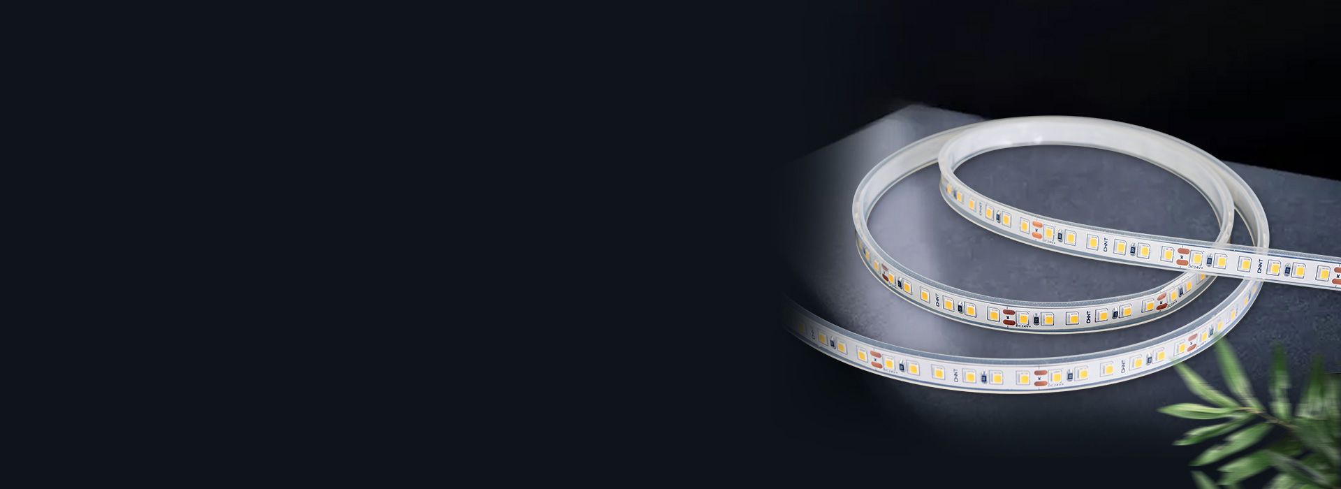 DD32/33系列低压灯带
 安全低压，...