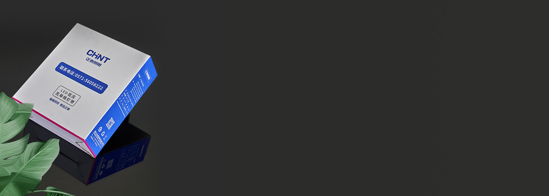 品质包装，高端格调
 正泰照明低压灯带D...